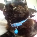 Craig Keating - @craig.keating.735 - Instagram