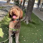 Craigory Dean - @craig_kellermann - Instagram