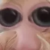 Kendall Craiger - @kendall.craiger - TikTok