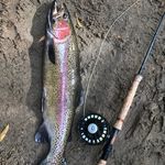 Craig Knowlton - @all_about_the_trout_nz - Instagram