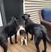 Craig Knowlton - Facebook