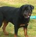 Craig Ladd - Facebook