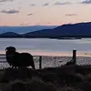 craigallaker - @craigallaker - TikTok