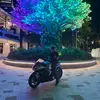 Craig - @craiglamps - TikTok
