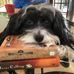 Craig Lantz - Facebook