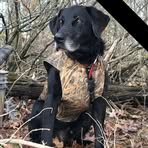 Kraig LaPorte - Facebook