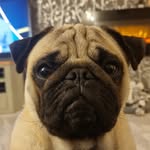craig limbert - @craigalimbert - Instagram
