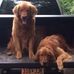 Craig Lind - Facebook