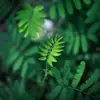 craiglovell522 - @craiglovell522 - TikTok