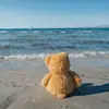 craigmacey509 - @craigmacey509 - TikTok