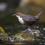 Craig Mackay - @craigmackayphotography - Instagram