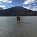 Craig MacKay - Facebook