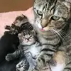 CRAIG MACKEY - @craig.mackey5 - TikTok