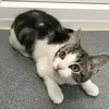 Craig Mackey - @craig.mackey3 - TikTok