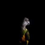 Craig MacLennan - Facebook