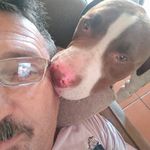 Craig Marx - @marxcraig - Instagram