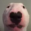 Craig Mather437 - @craigmather2 - TikTok