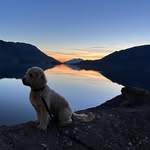 Craig Mather - @cimather1309 - Instagram