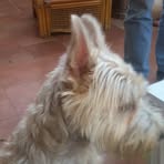 Craig Mather - Facebook