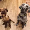Craig Mather - @craig.mather - TikTok