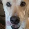 Craig May - @craig.may - TikTok