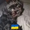 Craig McMahon - @craig.mcmahon - TikTok