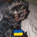 Craig McMahon - Facebook
