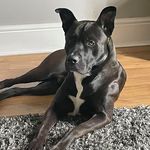 Craig Mooney - @craigmooney114 - Instagram