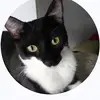 Craig - @craigmorris934 - TikTok