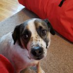 Craig Moser - @craig.moser.37 - Instagram