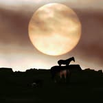 Craig Ness - @craig_ness - Instagram