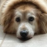 Craig Ness - @craig.ness.69 - Instagram