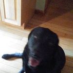 Craig Noel - @craignoel3498 - Instagram