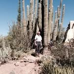 Craig Ott - @craig_ott - Instagram