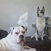 Craig Parkin - Facebook
