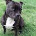 Craig Pennington - Facebook