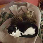 Craig Potts - @craig.potts.31542 - Instagram