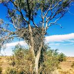 craig pratt - @craig.pratt - Instagram
