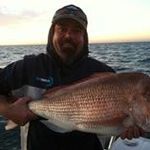 Craig Pringle - @craig.pringle - Instagram