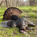 Craig Putnam - Facebook