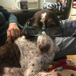 Craig putnam - @craigputnam5 - Instagram