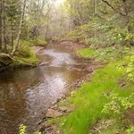 Ralph Craig - @ralph.craig.102 - Instagram