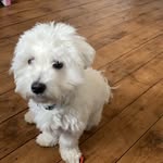 Craig Raymond - @craigahcalb - Instagram