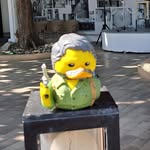 Craig Read - @joel_the_duck - Instagram