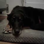 Craig Read - @read.craig.andrew - Instagram