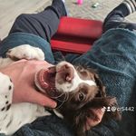Craig Reilly - @crag__ - Instagram