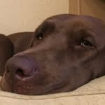 Craig Rollins - @craigrollins576 - Instagram