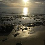 Craig Roman - @craigroman2 - Instagram