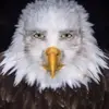 Craig rowley - @craig_rowley2008 - TikTok