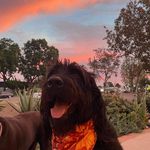 Arthur Craig Ruiz - @_itsarthur - Instagram